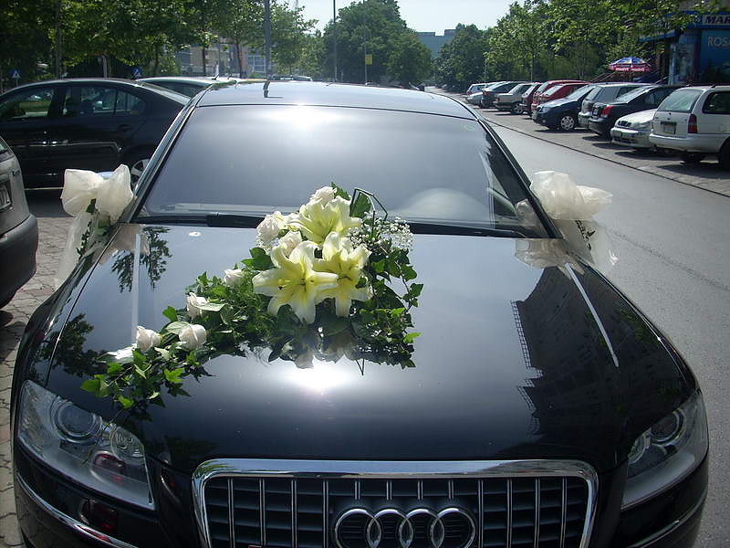 zeleni venac za automobil