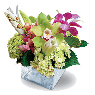 mala saksija šarenog cveća