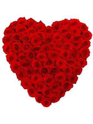 srce crvenih ruža