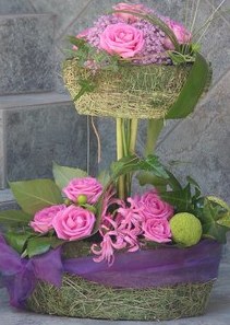 visoka korpica roze ruža